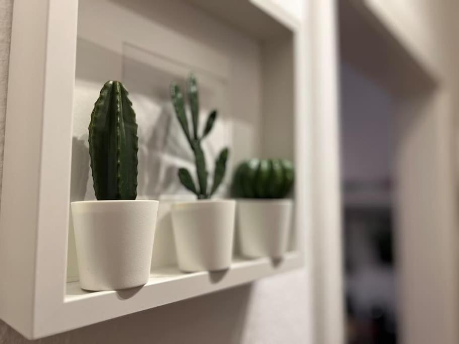 Stadtoase Design Wohnung In Der Altstadt Von Koblenz Koblenz  Eksteriør billede