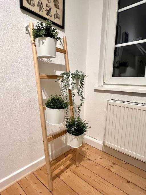 Stadtoase Design Wohnung In Der Altstadt Von Koblenz Koblenz  Eksteriør billede