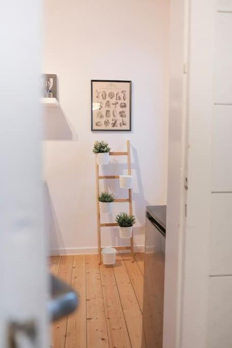 Stadtoase Design Wohnung In Der Altstadt Von Koblenz Koblenz  Eksteriør billede