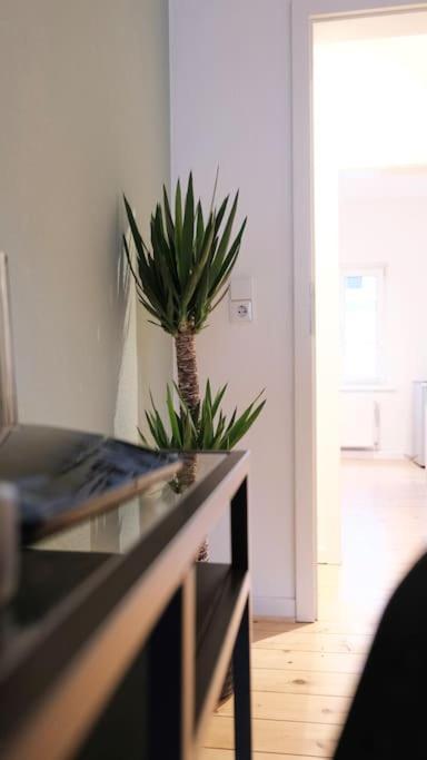 Stadtoase Design Wohnung In Der Altstadt Von Koblenz Koblenz  Eksteriør billede